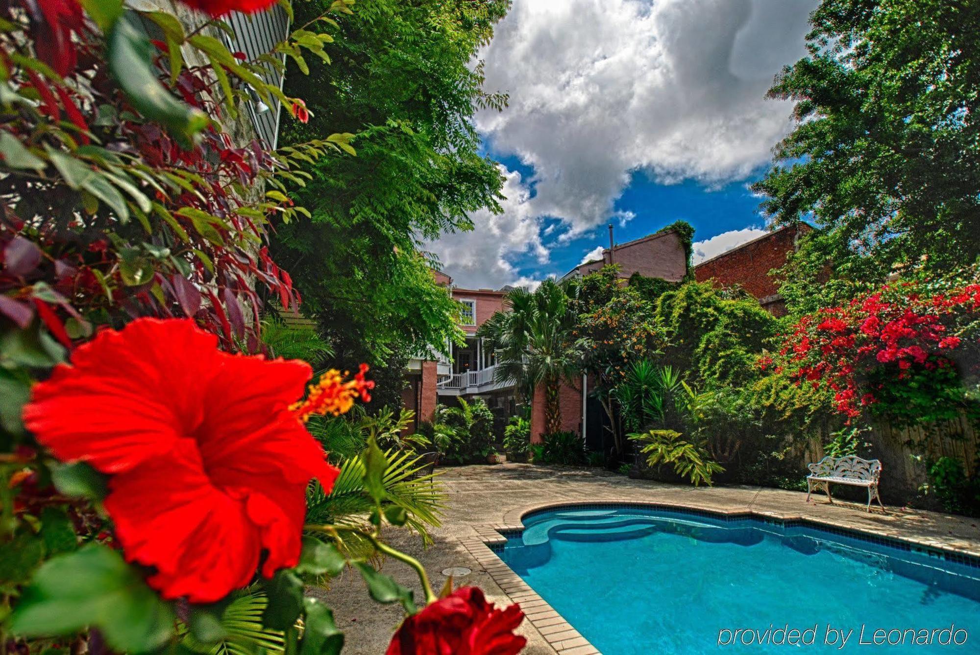 Lamothe House Hotel A French Quarter Guest Houses Property New Orleans Exteriör bild